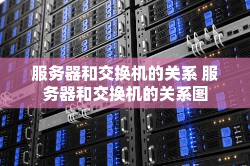 服务器和交换机的关系 服务器和交换机的关系图