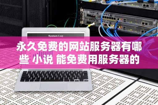 永久免费的网站服务器有哪些 小说 能免费用服务器的网站