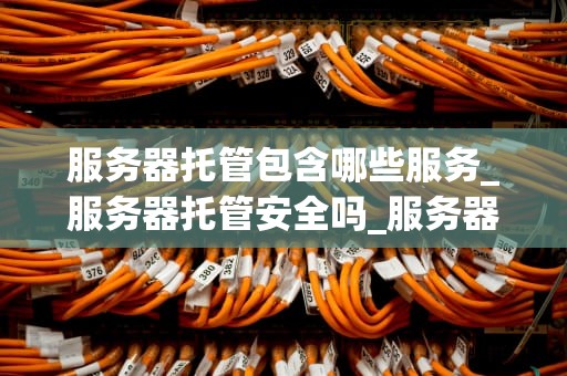 服务器托管包含哪些服务_服务器托管安全吗_服务器托管服务全面解析