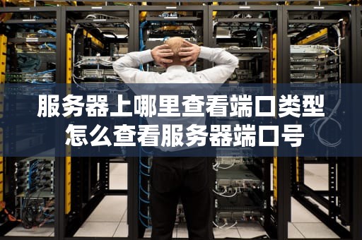 服务器上哪里查看端口类型 怎么查看服务器端口号