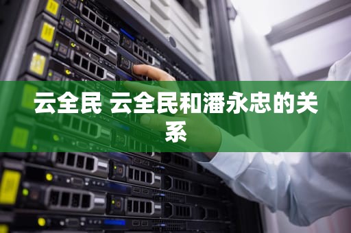 云全民 云全民和潘永忠的关系