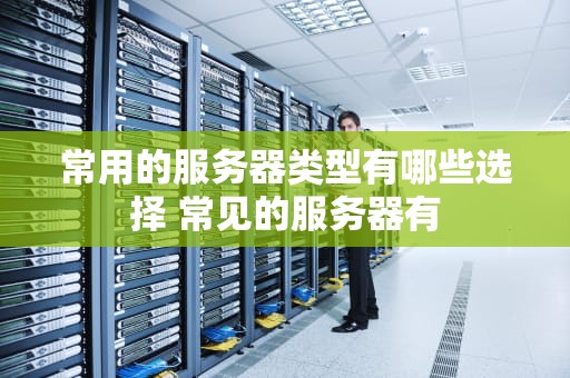 常用的服务器类型有哪些选择 常见的服务器有