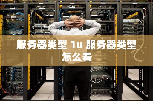 服务器类型 1u 服务器类型怎么看