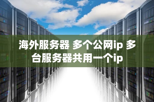 海外服务器 多个公网ip 多台服务器共用一个ip