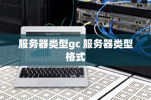服务器类型gc 服务器类型格式