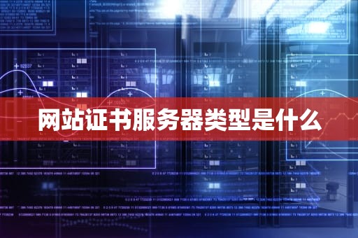 网站证书服务器类型是什么