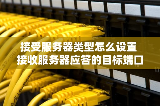 接受服务器类型怎么设置 接收服务器应答的目标端口是