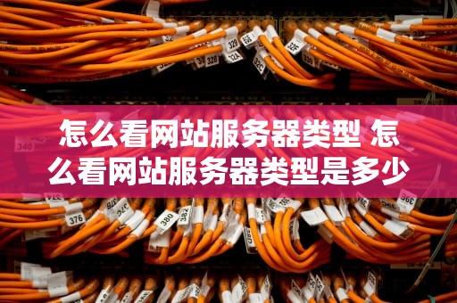 怎么看网站服务器类型 怎么看网站服务器类型是多少
