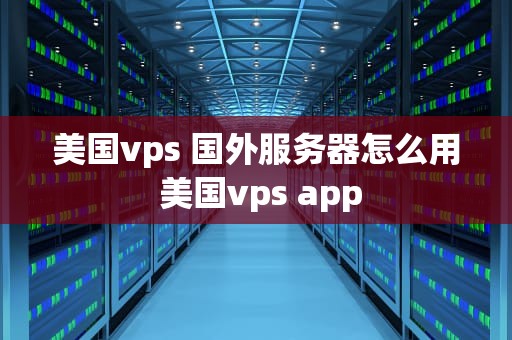 美国vps 国外服务器怎么用 美国vps app