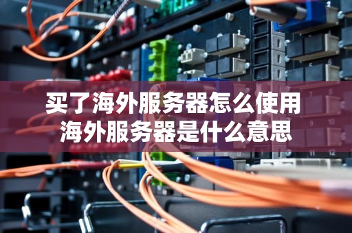 买了海外服务器怎么使用 海外服务器是什么意思