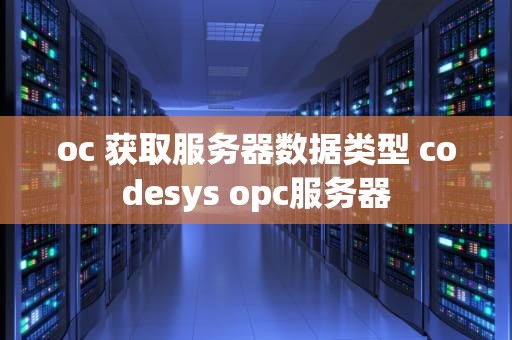 oc 获取服务器数据类型 codesys opc服务器