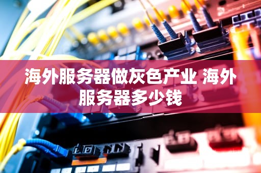 海外服务器做灰色产业 海外服务器多少钱