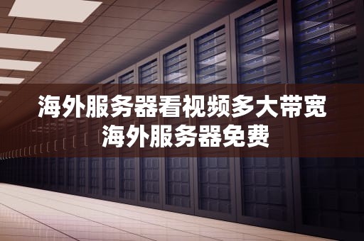 海外服务器看视频多大带宽 海外服务器免费