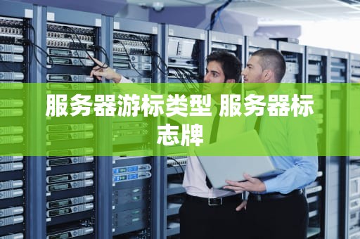 服务器游标类型 服务器标志牌