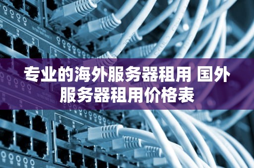 专业的海外服务器租用 国外服务器租用价格表