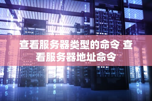 查看服务器类型的命令 查看服务器地址命令