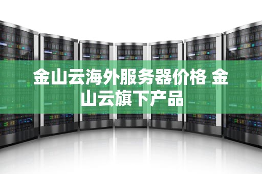金山云海外服务器价格 金山云旗下产品