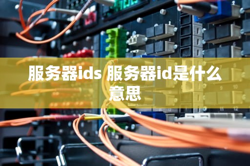 服务器ids 服务器id是什么意思