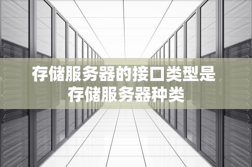 存储服务器的接口类型是 存储服务器种类