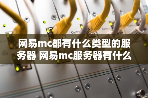 网易mc都有什么类型的服务器 网易mc服务器有什么用