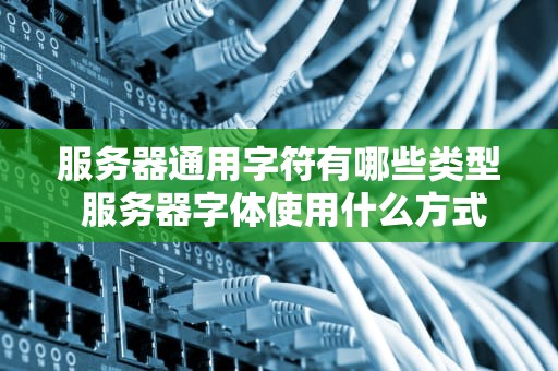 服务器通用字符有哪些类型 服务器字体使用什么方式进行定义