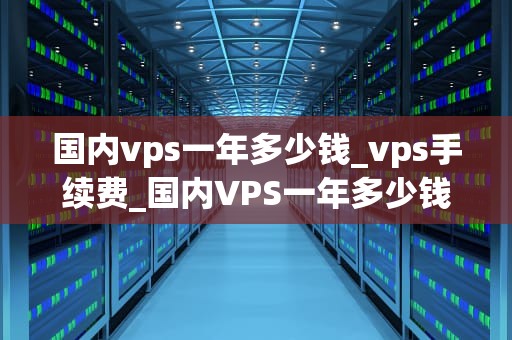 国内vps一年多少钱_vps手续费_国内VPS一年多少钱？——深入解析VPS价格因素及选择策略