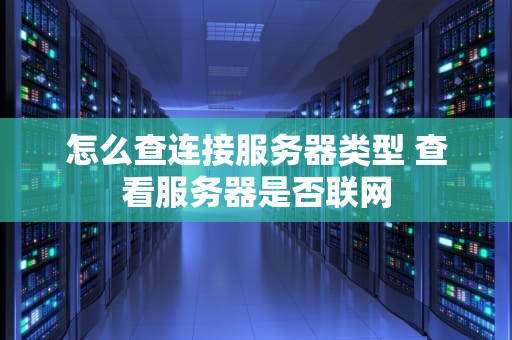 怎么查连接服务器类型 查看服务器是否联网