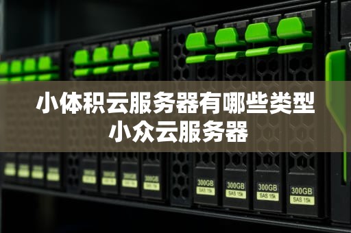 小体积云服务器有哪些类型 小众云服务器