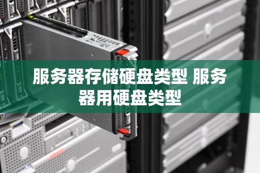 服务器存储硬盘类型 服务器用硬盘类型