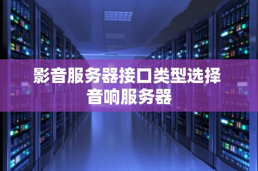 影音服务器接口类型选择 音响服务器