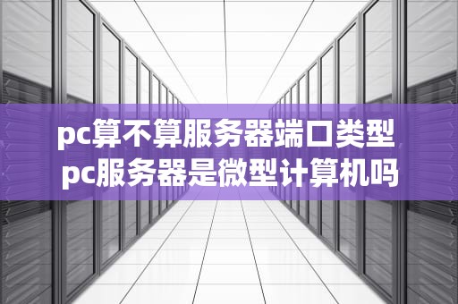 pc算不算服务器端口类型 pc服务器是微型计算机吗