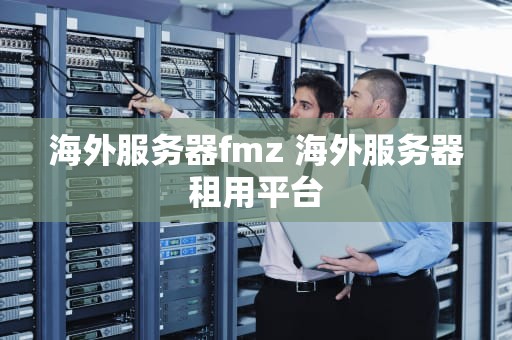 海外服务器fmz 海外服务器租用平台