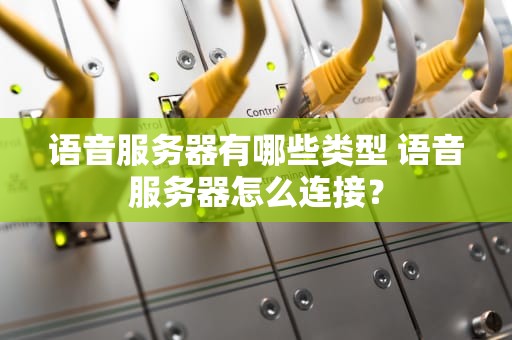 语音服务器有哪些类型 语音服务器怎么连接？
