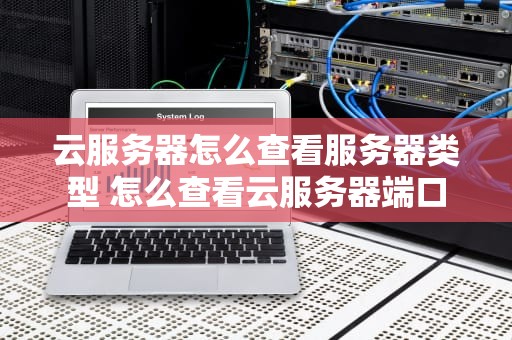 云服务器怎么查看服务器类型 怎么查看云服务器端口