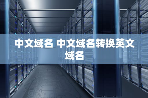 中文域名 中文域名转换英文域名