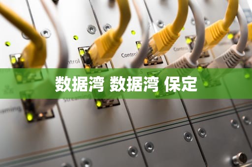 数据湾 数据湾 保定