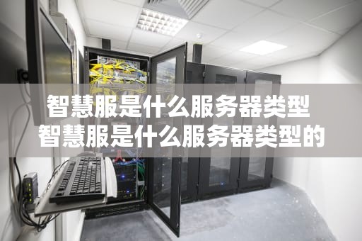 智慧服是什么服务器类型 智慧服是什么服务器类型的