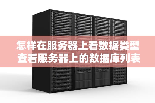 怎样在服务器上看数据类型 查看服务器上的数据库列表的命令是