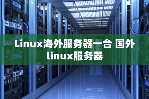 Linux海外服务器一台 国外linux服务器