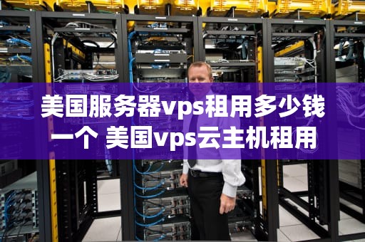 美国服务器vps租用多少钱一个 美国vps云主机租用