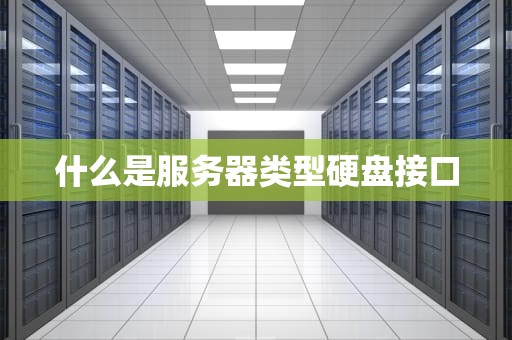 什么是服务器类型硬盘接口
