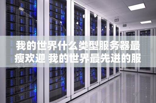 我的世界什么类型服务器最瘦欢迎 我的世界最先进的服务器