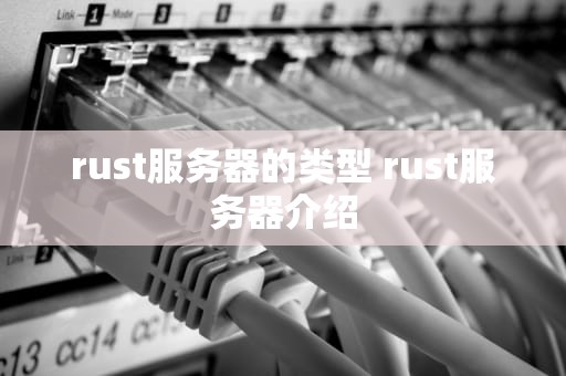 rust服务器的类型 rust服务器介绍
