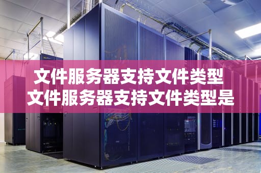 文件服务器支持文件类型 文件服务器支持文件类型是什么