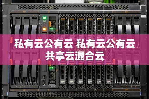 私有云公有云 私有云公有云共享云混合云