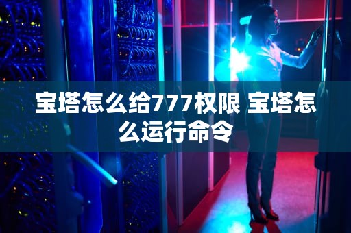 宝塔怎么给777权限 宝塔怎么运行命令