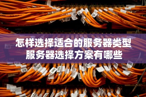 怎样选择适合的服务器类型 服务器选择方案有哪些