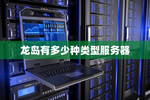 龙岛有多少种类型服务器