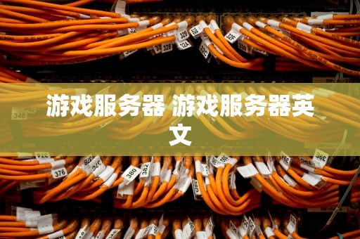 游戏服务器 游戏服务器英文
