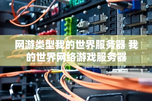 网游类型我的世界服务器 我的世界网络游戏服务器